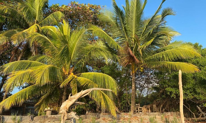 Garza House | Beachfront Eco Cabina with Private Beach & Ocean View