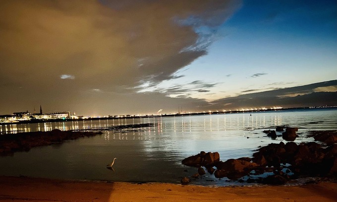 Sandycove House | Beachfront Retreat: Pet-Friendly with Breakfast Included