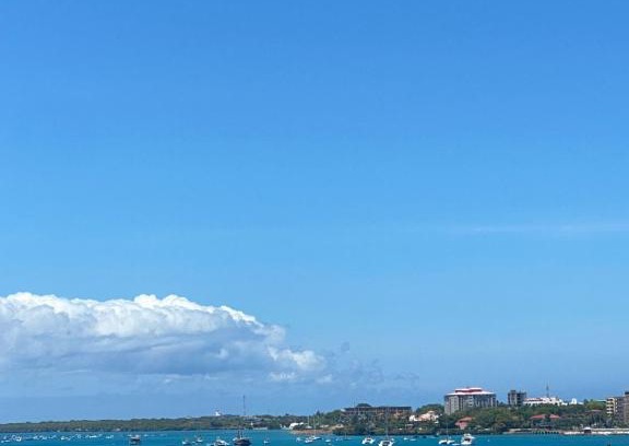 Msasani House | Beachfront M. A. Apartment: Family-Friendly Oceanview Escape