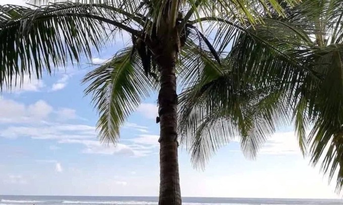 Bejuco Apartment | Beachfront Penthouse Condo with Breathtaking Sunset Views