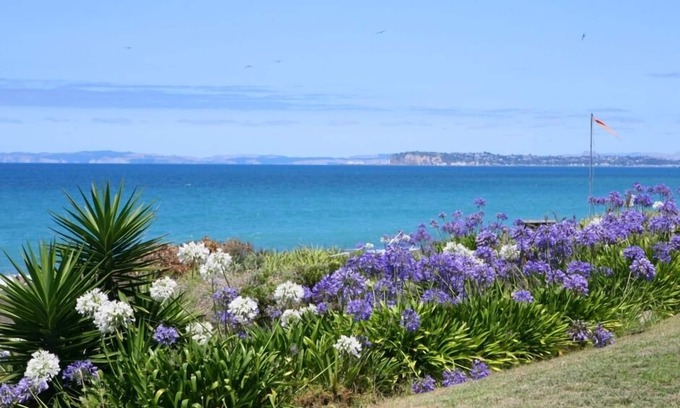 Eskdale House | Beachfront 3-Bedroom Getaway with Pool & Pet-Friendly Perks