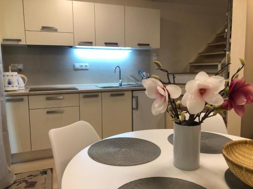 Balatonfuzfo Apartment | Beachfront Studio Apartment with Private Beach Access