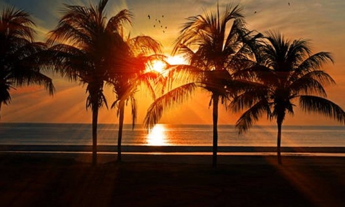 Golden Beach Condo | Oceanfront Venice Island Condo with Pool & Free Wi-Fi
