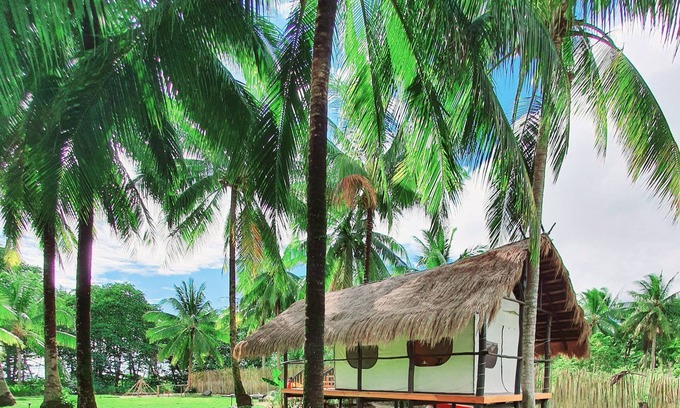 San Vicente Cabin | Beachside 2: Pet-Friendly Oceanfront Retreat with Breakfast