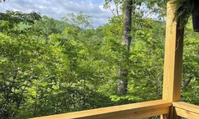 Cosby Cabin | Bear Top Junior Small Cabin w EV Charger