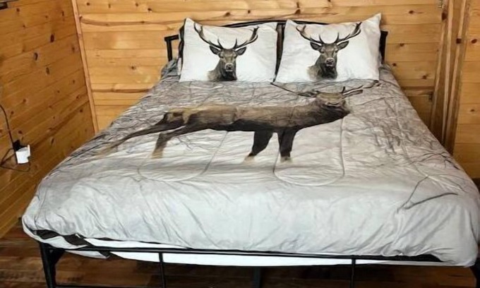 Antlers Cabin | Beau’s Place: Family & Pet-Friendly Retreat with Spa Access
