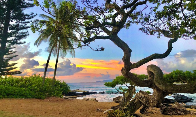 Wailua Condo | Oceanfront Getaway on Kauai's Beautiful Coconut Coast