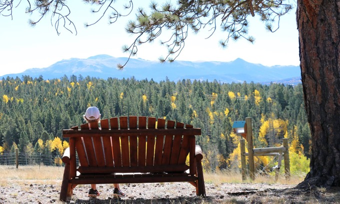 Divide Cabin | Peaceful Cabin Retreat on 35 Acres - Rated 10/10 by Guests