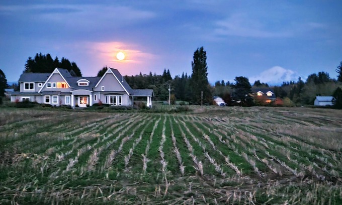 Ferndale House | Beautiful and spacious family home with WiFi, AC and Mt. Baker views