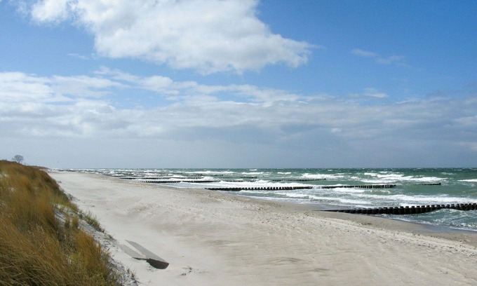 Born auf dem Darss Apartment | Perfect Apartment for 4 with Ocean View and Pet-Friendly Perks