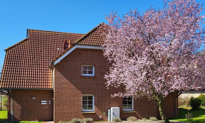 Ummanz Apartment | Cozy Apartment for 4 with Ocean Views and Pet-Friendly Perks