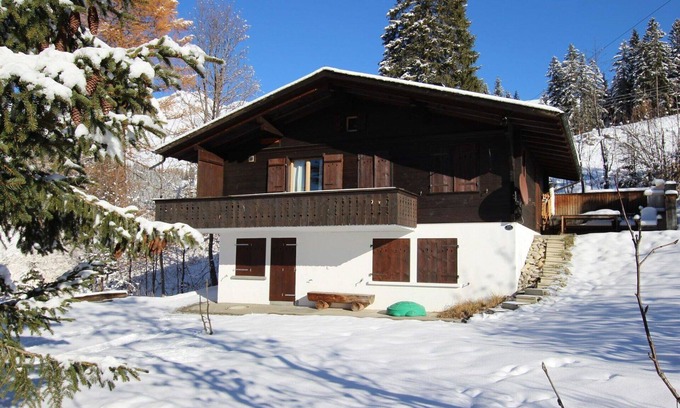 Lenk Apartment | Cozy Apartment for 10 with Free WIFI and Balcony Access