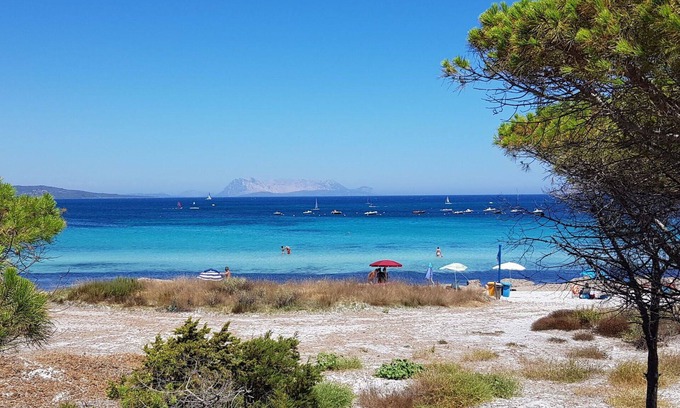 Schifoni Apartment | Beautiful apartment for 6 people with WIFI, A/C, TV, patio, pets allowed and parking