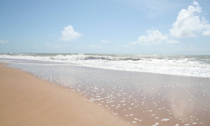 Porto de Sauipe House | Seaside Retreat: Beach House with Ocean Views and Pet-Friendly