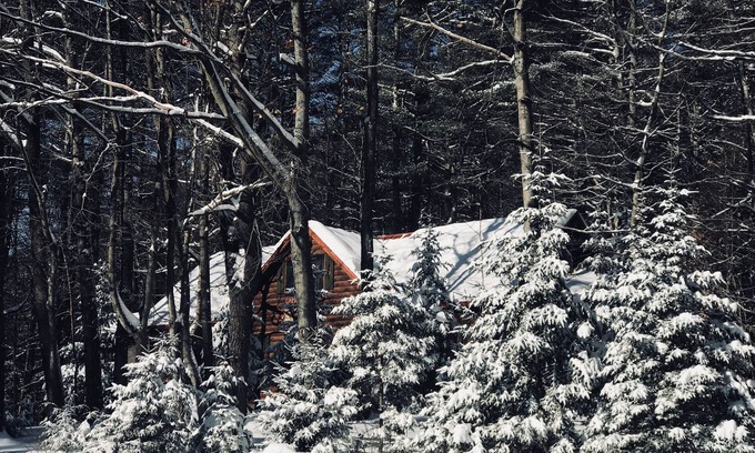 Town of Ephratah Cabin | Delightful Cabin Retreat with Spa & Hot Tub - Guest Rated 9.8