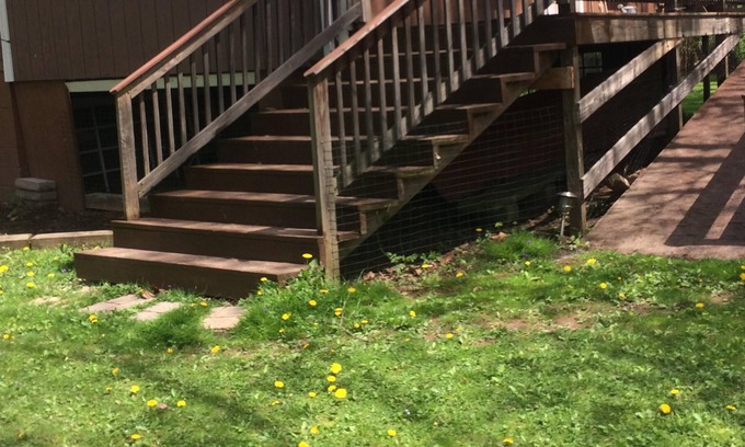 Mill Hall Cottage | Beautiful Creek Side Home Along Bald Eagle Creek, Mill Hall, PA
