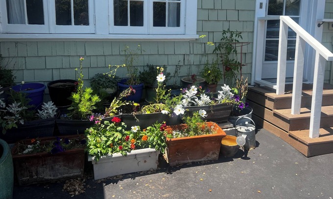 Oak Park Cottage | Beautiful Downtown Fully Furnished Executive Cottage