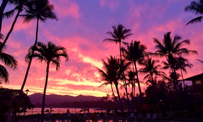 Wailua Condo | Oceanfront One Bedroom Condo at Lae Nani: Guest Rated 9.8