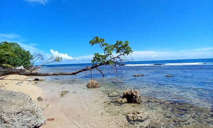Bocas del Toro House | Spacious Oceanfront Home in Paunch, Bocas del Toro