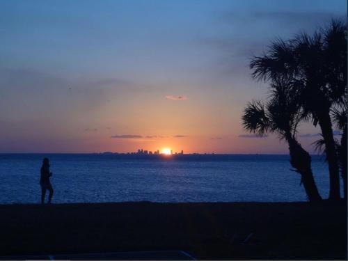 Ruskin House | New Oceanfront Townhome with Private Beach & Pools, Rated 9.6