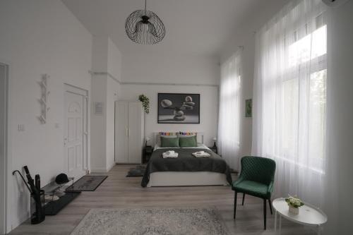 Istvanmezo Apartment | Beautiful newly refurbished studio,fully equipped apartment walking distance to the City Park where you will find the world famous Szechenyi thermal bath spa, Museums , and the Capital Circus , AC, smart TV, high speed internet