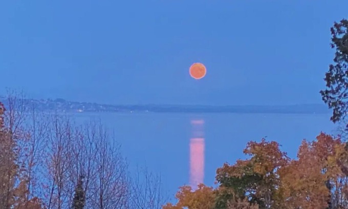 Point Roberts Apartment | Beautiful Ocean and Mountain View Suite.