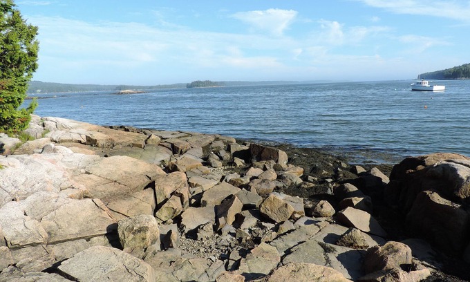 Steuben Cottage | Oceanfront 3 BR Cottage on Dyer Bay - Guest Rated 10/10