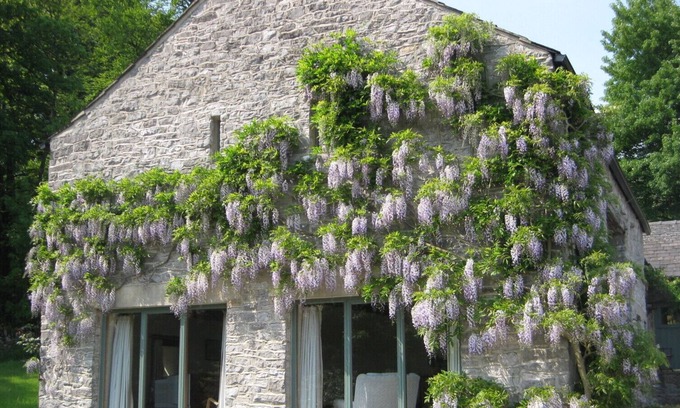 Millers Dale Cottage | Serene Rural Retreat in the Heart of Peak District