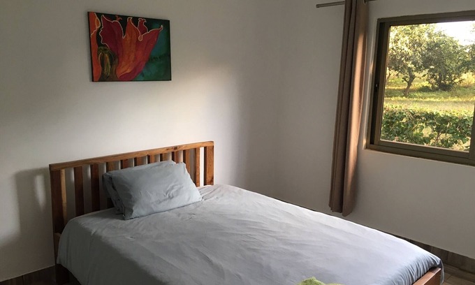 Lusaka House | Cozy Serviced Home for 6 with Inviting Garden Retreat