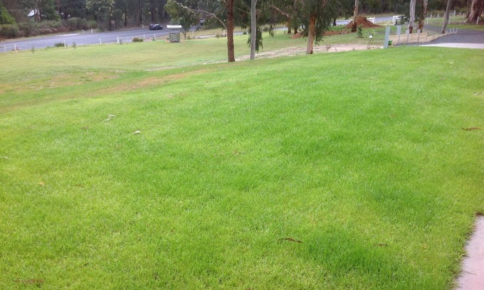 Mirboo North House | Serene Bushland Retreat with Ocean View & Breakfast