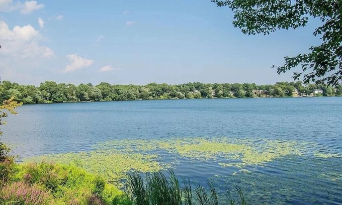 Warwick House | Serene Family Retreat by Warwick Pond, Rated 9.4/10