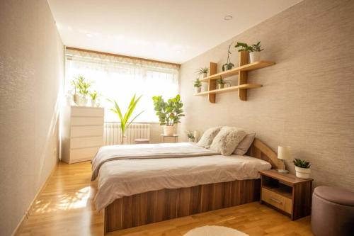 Valmiera Apartment | Elegant Apartment in Valmiera - Child Friendly & 9.5 Rated