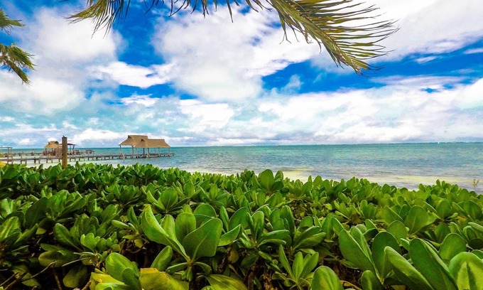 Puerto Juarez Apartment | Beachfront Suite with Ocean View and Kitchen Access