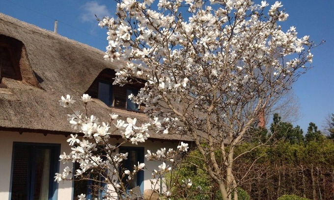 Peenemuende Apartment | Inviting Thatched Roof House with Pool and Ocean View