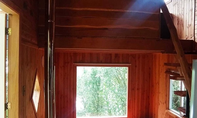 Ancud Cabin | Cozy Tiny House Retreat Surrounded by Lush Forests