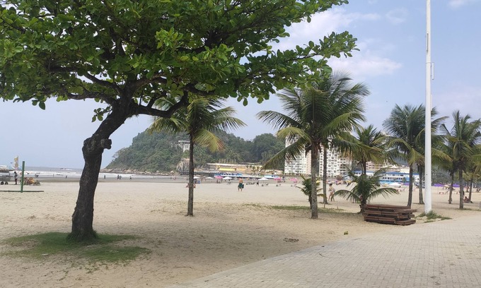 Sao Vicente Apartment | Pet-Friendly View Penthouse with Kitchen for Family Fun