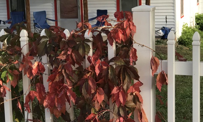 Beulah House | Serene Retreat with Scenic Views & Pet-Friendly Amenities