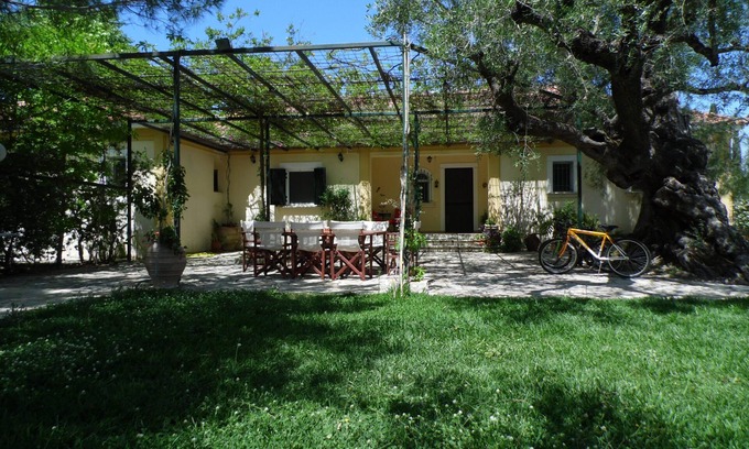 Gaitanion House | Serene Villa Amidst an Expansive Olive Grove Retreat