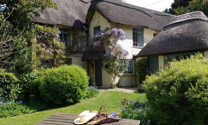 New Forest District Cottage | Beck Cottage: Pet-Friendly Retreat in New Forest, 9.8 Rated