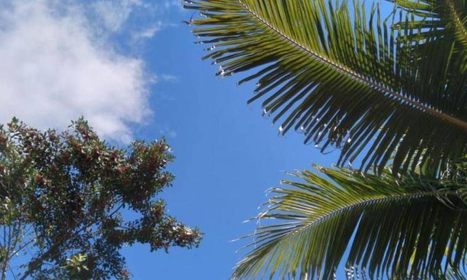Armacao Bed & Breakfast | Guest Rated Bed and Breakfast: Your Perfect Getaway