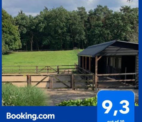 Bosgebied Hoenderloo Bed & Breakfast | Charming Bed and Breakfast De Paalberg with Top Amenities