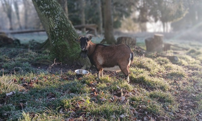 Le Pin Bed & Breakfast | Bed and breakfast in a park, 5 minutes from Cerza