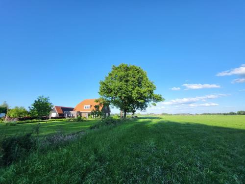 Terschuur Bed & Breakfast | Cozy Stay at Bed & Breakfast de Vink with Complimentary Breakfast
