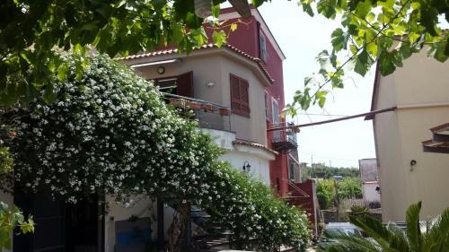 Ercolano Bed & Breakfast | Inviting Bed & Breakfast Fuocomuorto: Pet-Friendly Comfort
