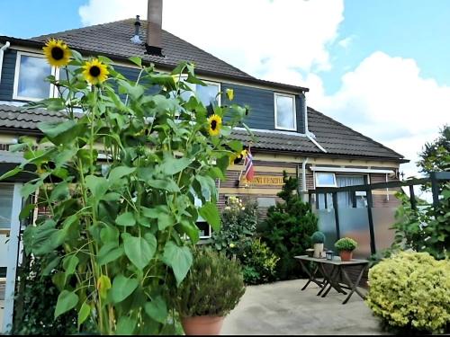 Zuidschermer Bed & Breakfast | Cozy Getaway at Bed & Breakfast Prins Hendrik in Zuidschermer