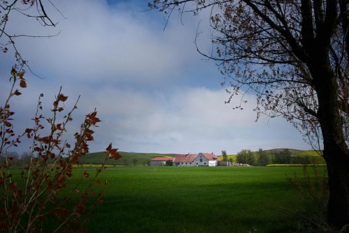 Kaseberga Bed & Breakfast | Pet-Friendly Retreat at Bed & Breakfast Vinkille - 4 Stars
