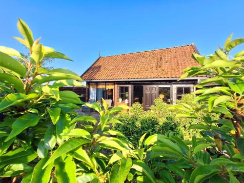 Ternaard Bed & Breakfast | Cozy Retreat at Bed & brochje By ús thús - Guest Rated 9.3
