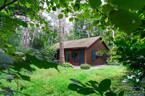 Oisterwijk Resort | Guest Rated: Bed en Boshuisjes - Pet & Child Friendly Stay