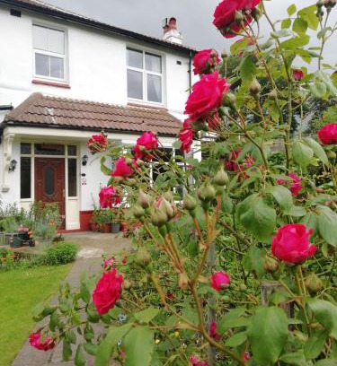 Briggswath Bed & Breakfast | Outstanding Beechlands B & B: Breakfast and Hot Tub Await!
