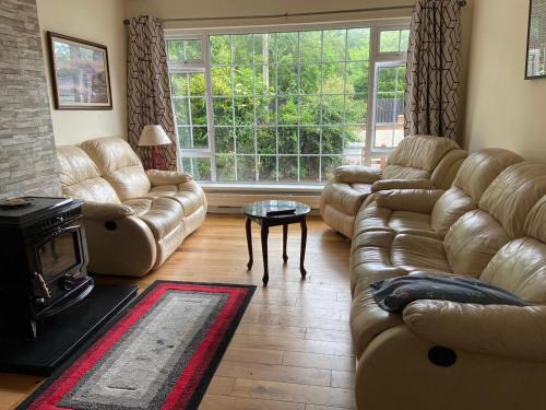 Ballybofey House | Pet-Friendly Beechwood Lodge with Breakfast & Family Amenities